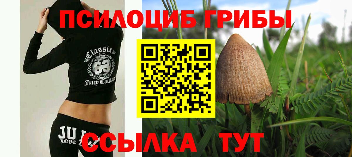 Галлюциногенные грибы прущие грибы  Вход с VPN  Альметьевск 